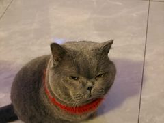 -吹泡·Triphop(棋盘店)