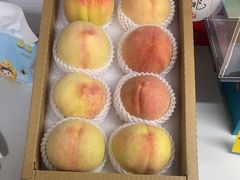 -老袁家蜜桃农场·阳山水蜜桃