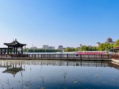 -莲花池公园