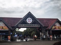 -上海海湾国家森林公园