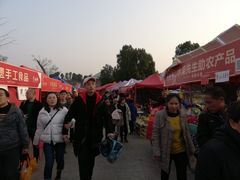 -秀丽东方