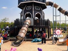 -上海长兴岛郊野公园