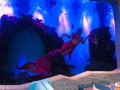 -瑞德姆美人鱼海底演艺主题餐厅(亚龙湾店)