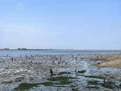 -北海金海湾红树林生态旅游区