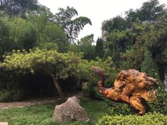 -西苑公园