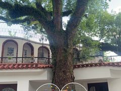 -澳门圣地牙哥古堡酒店