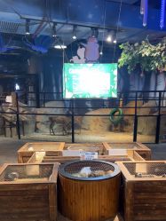 -酷嗒动物文化乐园(cutezoo西溪乐天城店)