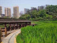 -龙头寺公园