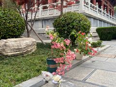 -清凉寺