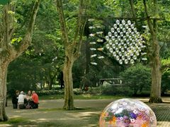 -上海共青森林公园