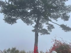 -秦岭终南山世界地质公园翠华山景区