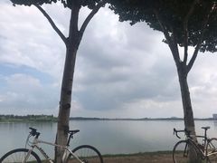 -丁香湖公园