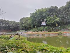 -广州长隆飞鸟乐园