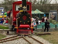 -桤木河湿地公园