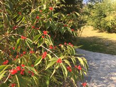 -北京宽沟会议中心