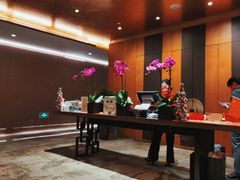 -桃花源中餐厅(金茂豪华精选酒店)