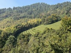 -敬亭山风景名胜区