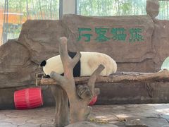 -宁波野生动物园