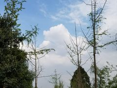 -白鹭湾湿地公园