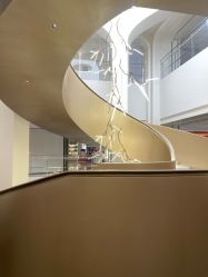 -广州美莱医疗美容医院