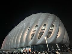 -深圳市体育中心体育馆主馆