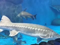 -多彩贵州城极地海洋世界