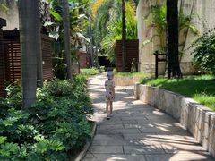 -厦门日月谷温泉渡假村