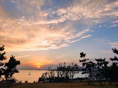 -小麦岛公园