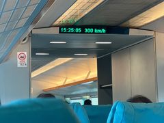 -龙阳路磁悬浮列车总站-停车场