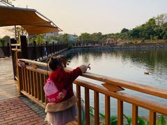 -泉州海丝野生动物世界