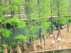 -广州市帽峰山景区