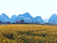 -靖西鹅泉风景区