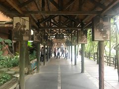-海南槟榔谷黎苗文化旅游区