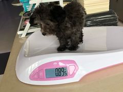 -宠颐生中康贝怡动物医院