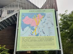 -华侨城湿地公园