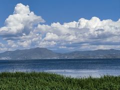 -洱海月湿地公园