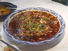 -新概念来凤鱼(璧山店)