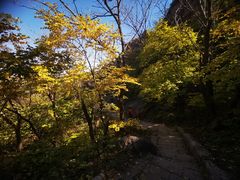 -北京凤凰岭