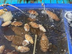 -蓝湾碧波·老字号·疍家非遗海上餐厅