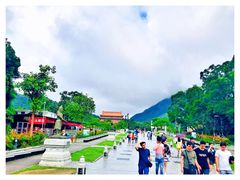 -宝莲禅寺