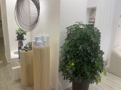 -桥西区沐泽颜功效护肤