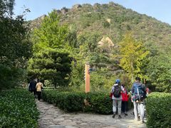 -北京鹫峰国家森林公园