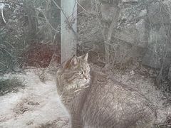 -青藏高原野生动物园