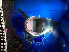 船奇.蒸汽海鲜-船奇蒸汽海鲜·闽菜(八市海鲜总店)