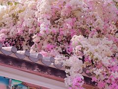 -深圳国际园林花卉博览园