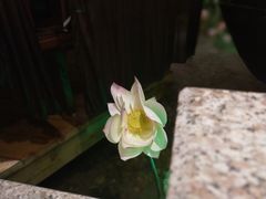 -苏浙徽·江南荟·本味融合菜(相城方圆里店)