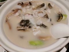 浓汤桂鱼配脆米-港丽餐厅(杭大店)