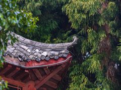 -华蓥山天意谷景区