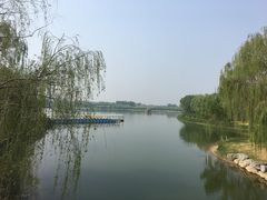 -大兴滨河森林公园