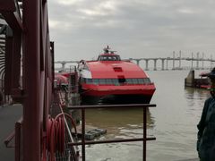 -信德中旅船务管理有限公司